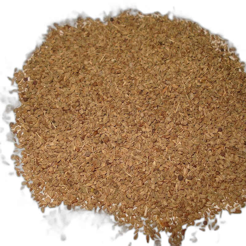 Ajwain (Carom Seeds), Trachyspermum ammi
