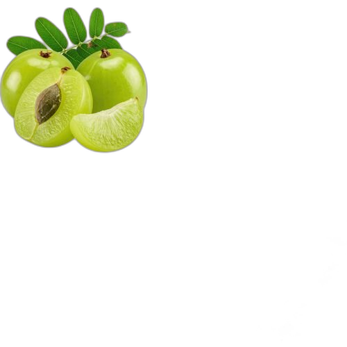 Amla Hair Powder, Phyllanthus emblica