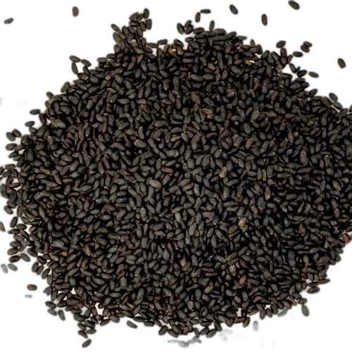 Basil Seeds (Sabja), Ocimum basilicum