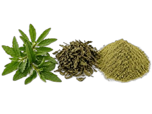 Bhringraj Herb Powder & Extract, Eclipta prostrata