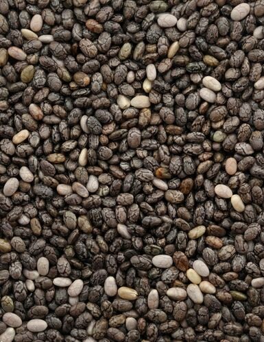 Chia Seeds, Salvia hispanica