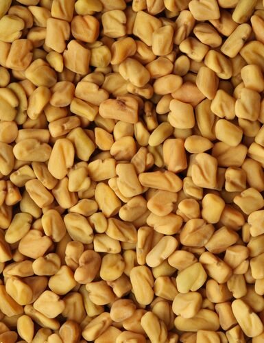 Fenugreek Seeds, Trigonella foenum-graecum