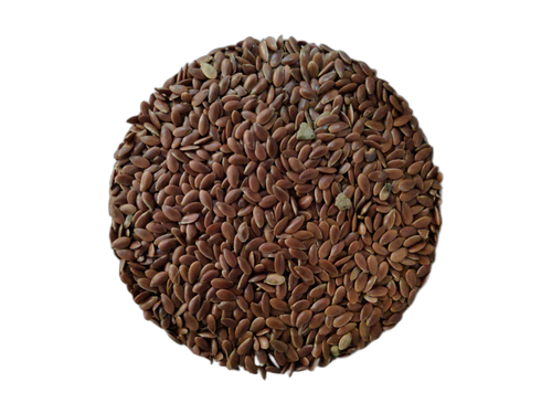 Flax Seeds (Linseed), Linum usitatissimum