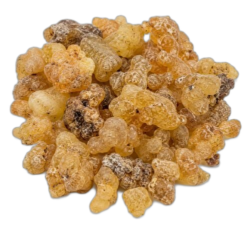 Guggul Resin & Extract, Commiphora wightii