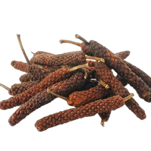 Long Pepper (Pippali), Piper longum