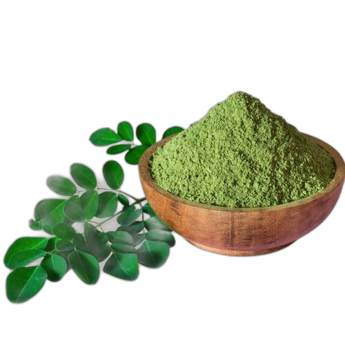 Moringa, Moringa oleifera