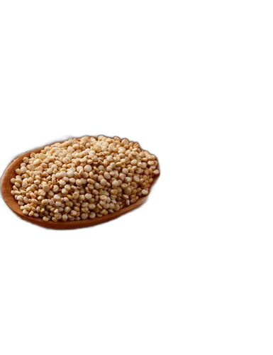 Quinoa, Chenopodium quinoa