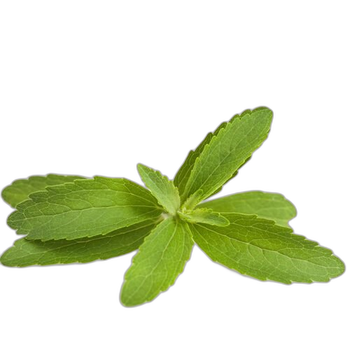 Stevia Leaves, Stevia rebaudiana